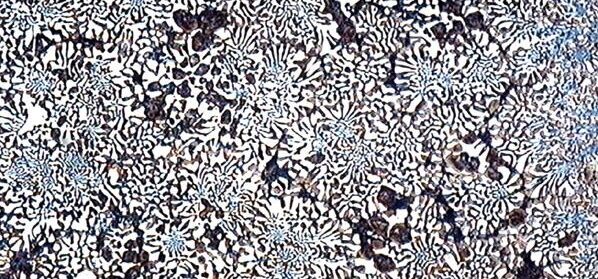 Bernex Bimetall AG :: Our bimetallic layers